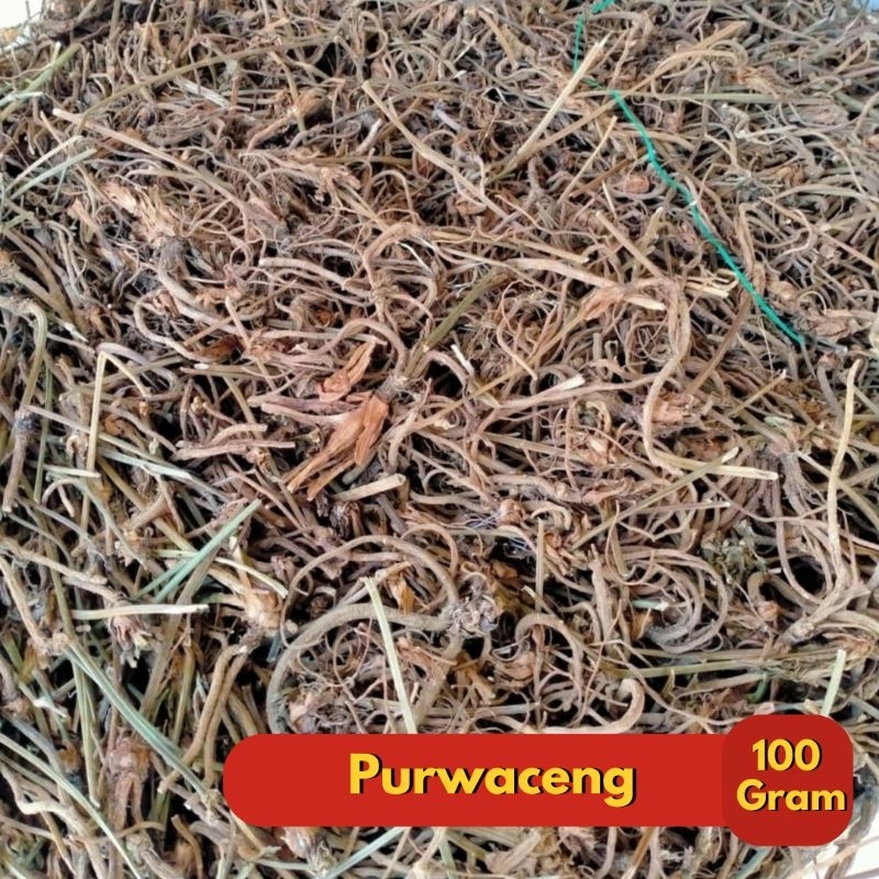 

100 gram Purwaceng | Purwoceng