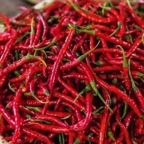 

Cabe Keriting Segar 100gr
