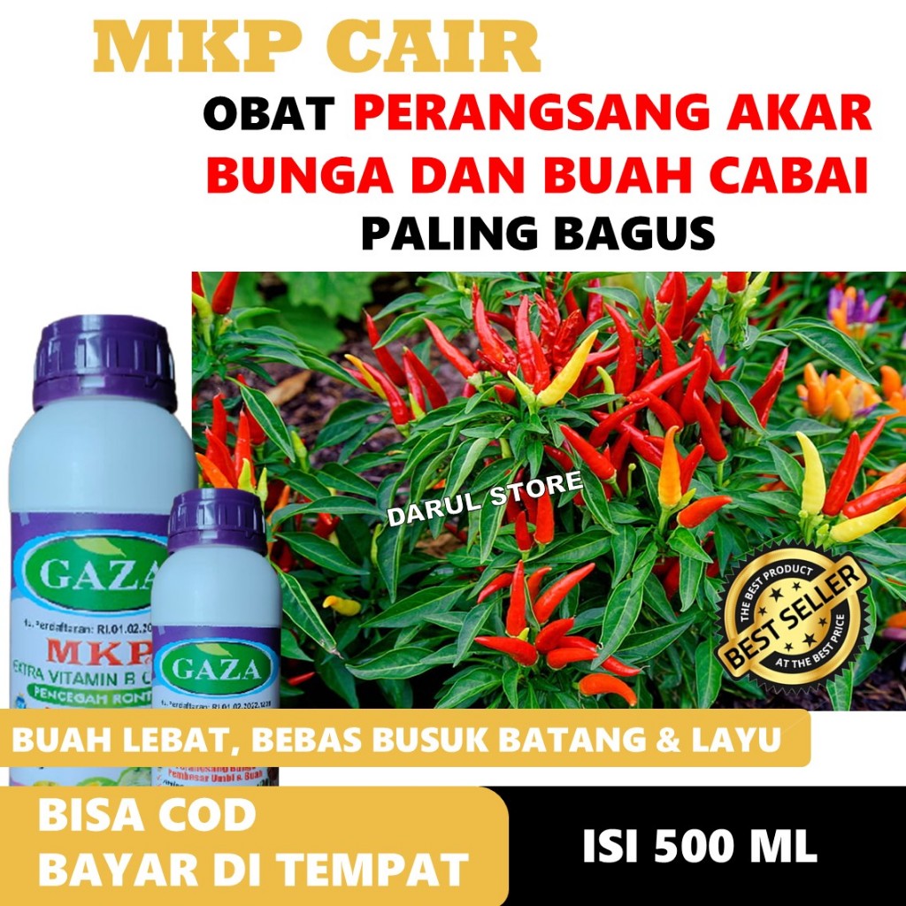 OBAT PELEBAT TANAMAN CABAI/CABE & Jenis CABE RAWIT Lainnya MKP GAZA Cair Plus - OBAT PENYUBUR CABE, 