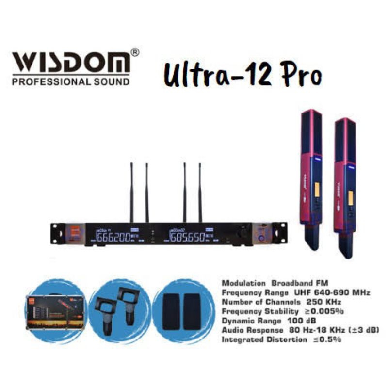 Mic wireless wisdom ultra 12 pro 2 chanel microphone wireless