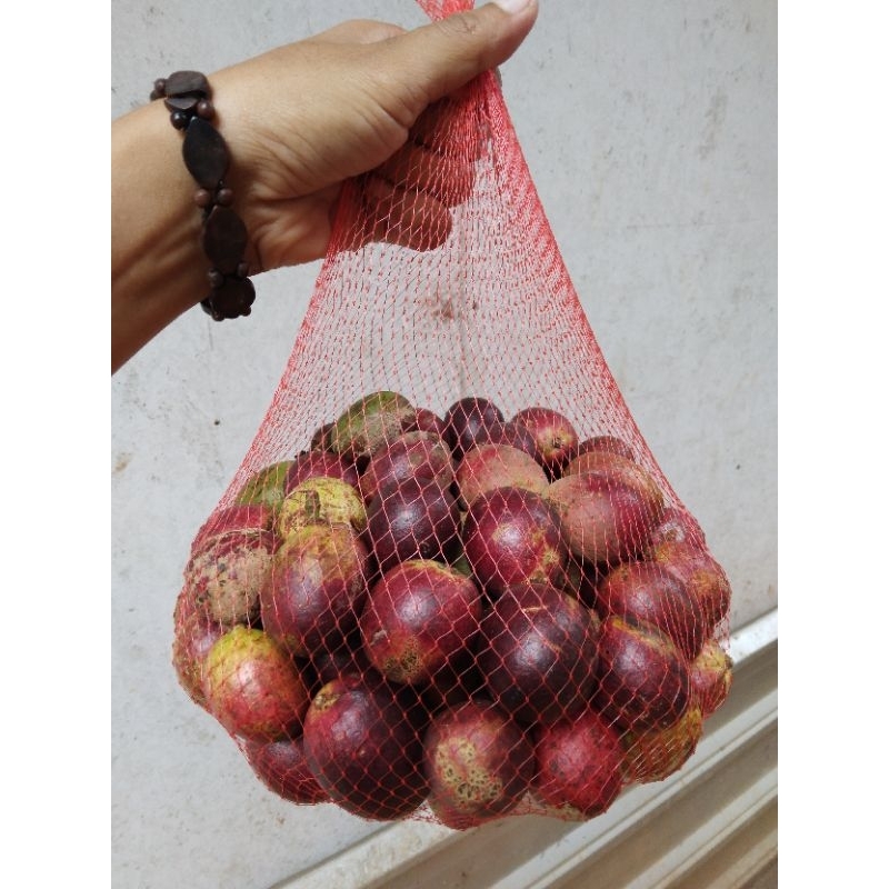 

MATOA BUAH SEGAR 500GR