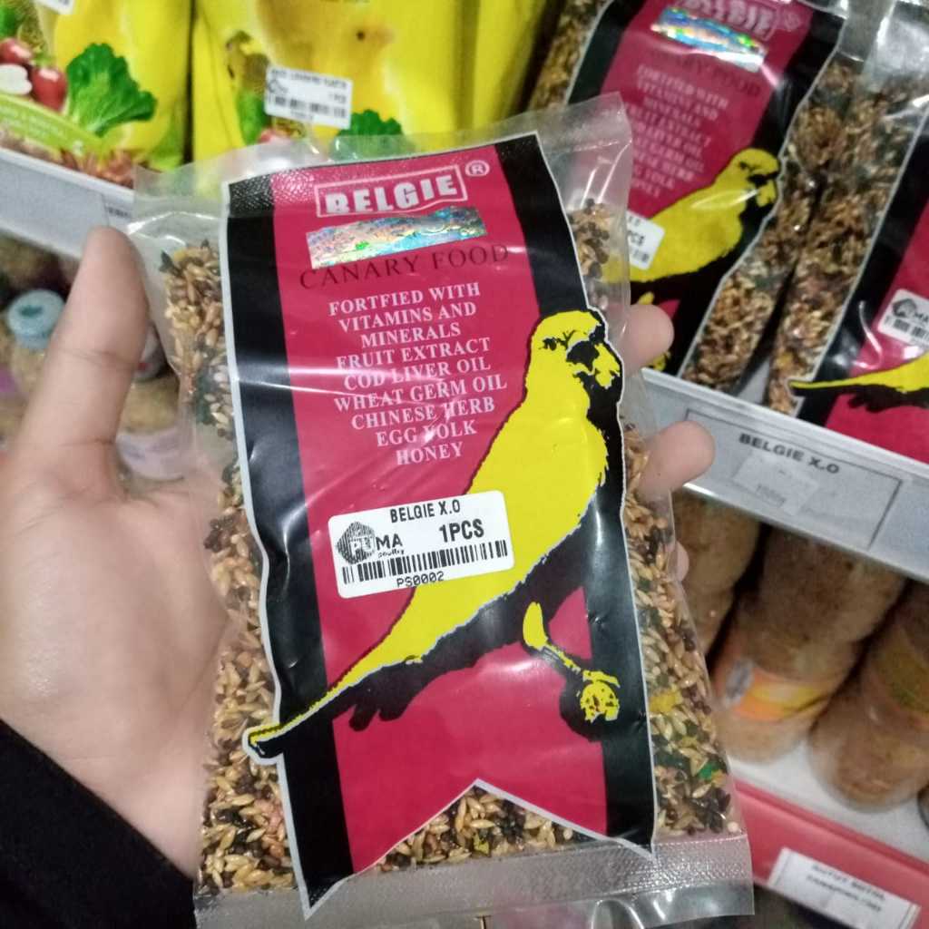 BELGIE KENARI PAKAN MAKANAN HARIAN KENARI GACOR PAKAN KENARI JUARA BELGIE XO