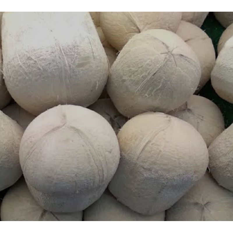 

Medan,kelapa Thailand kupas