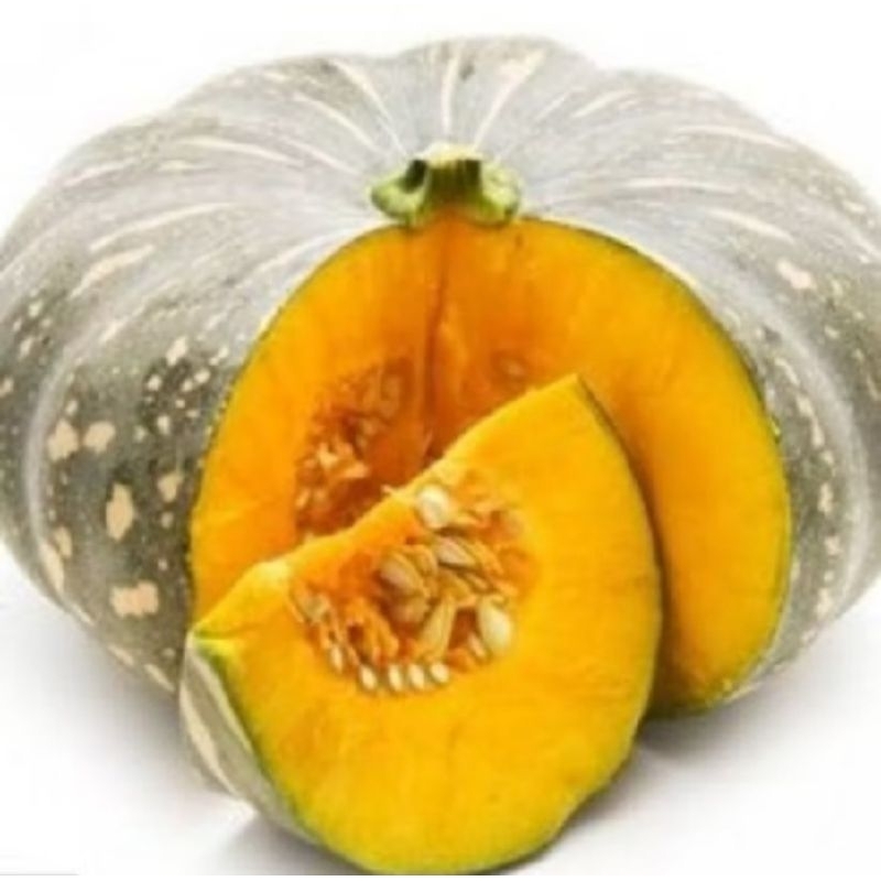 PROMO 50 BENIH LABU WALUH MADU KUNING SUPER UNGGULAN