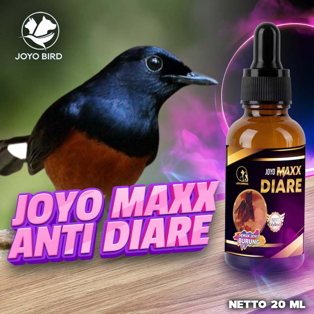 OBAT UNTUK BURUNG DIARE, BERAK CAIR | MAXX ANTI DIARE