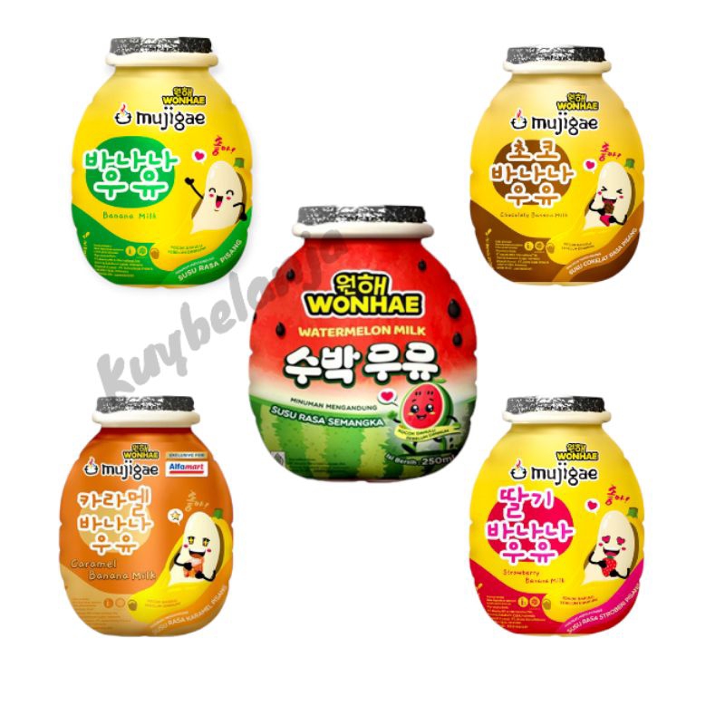 

Mujigae Minuman Susu Cair Rasa Semangka / Strawberry Banana milk & chocolate Milk (250ml)