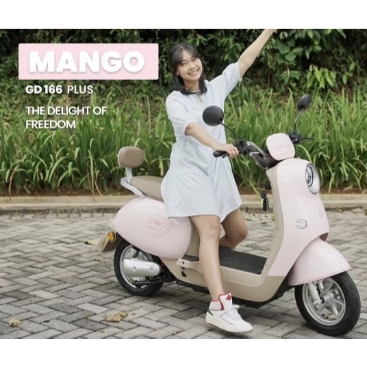 Sepeda Listrik GODA GD166 Plus Garansi Resmi - GD 166 Plus Mango - ANEKA BIKE GODA OFFICIAL