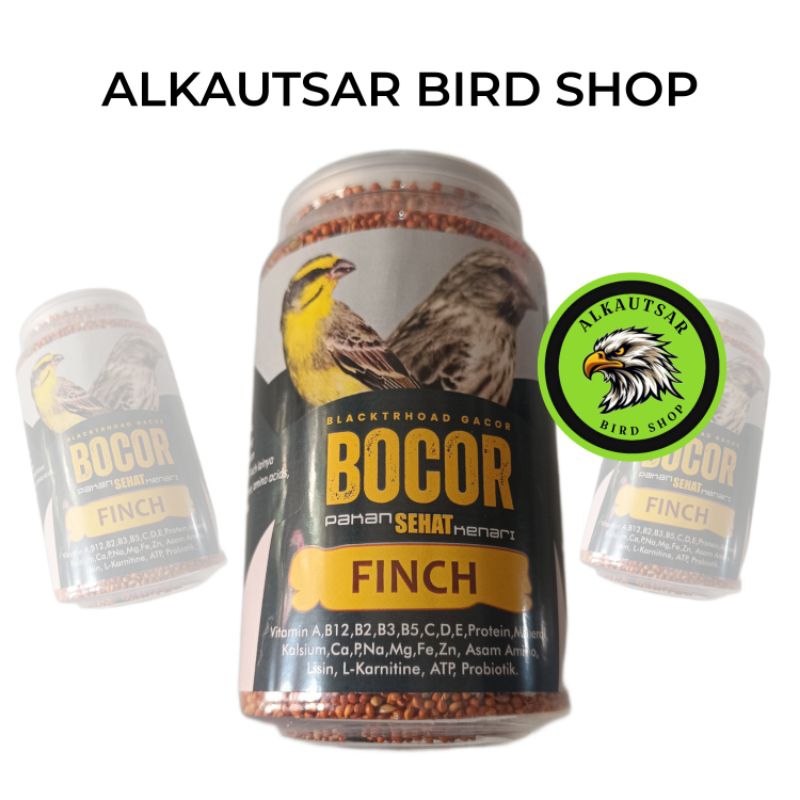 CAROLL BLACKTHROAT BOCOR PAKAN FINCH ATAU BLACKTHROAT TERBAIK PAKAN BLACKTHROAT PENGGACOR