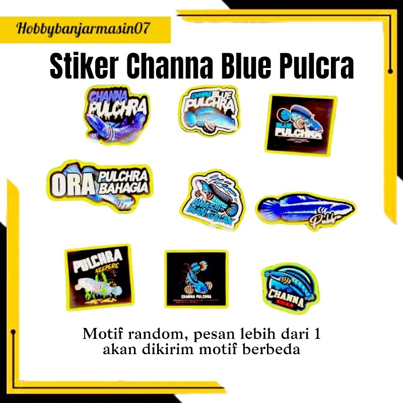 

(1 PCS RANDOM) STIKER CHANNA STICKER CHANNA BLUE PULCRA