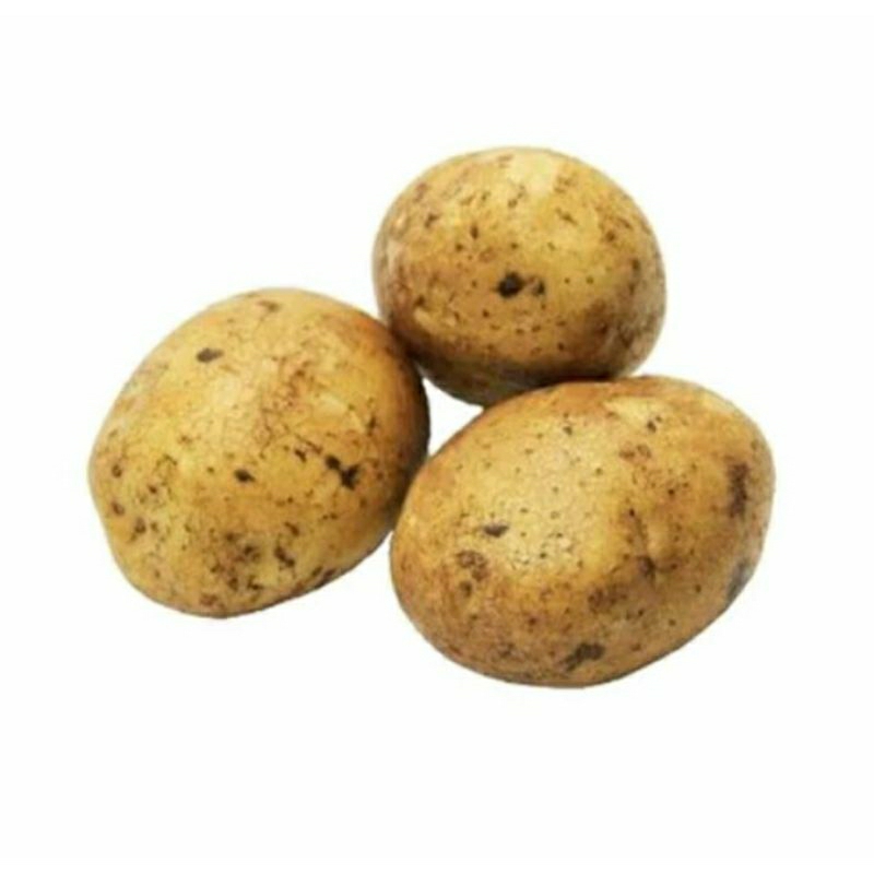 

Kentang Dieng Segar / 500gr langsung dari petani