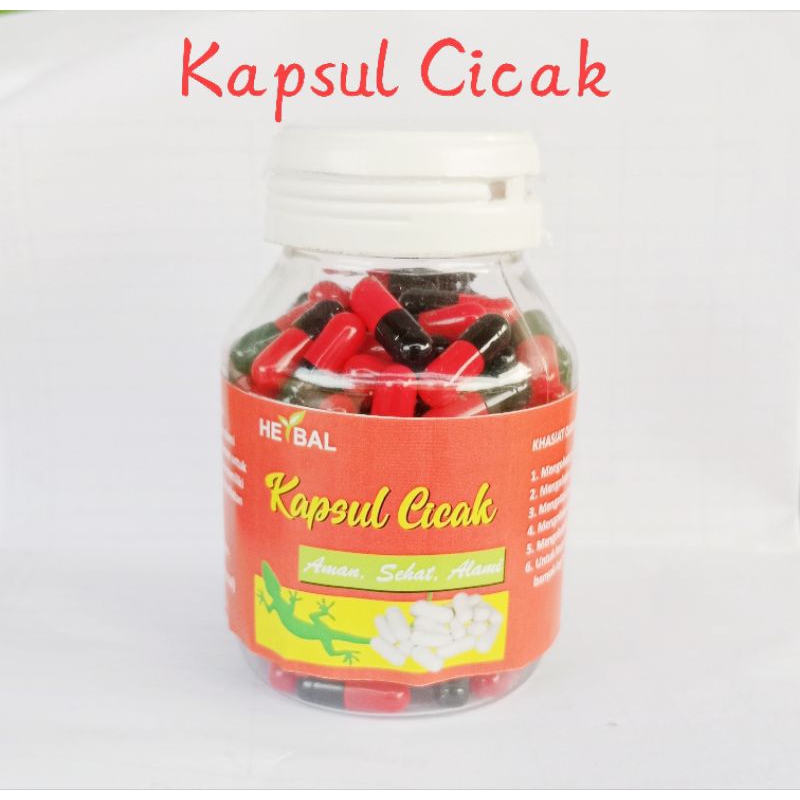 kapsul cicak asli isi 100. obat kanker, wasir, asma, gatal gatal