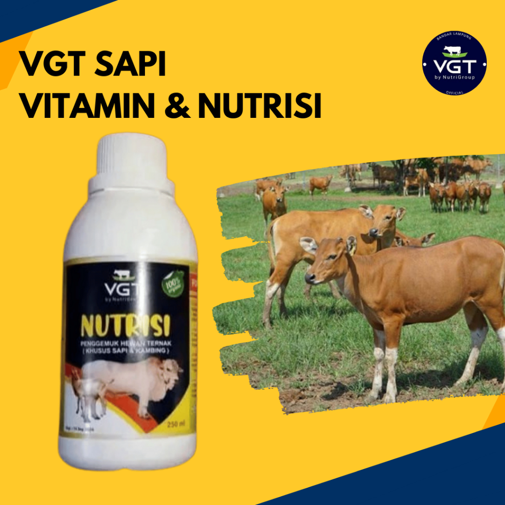 VGT nutrisi ternak Sapi Probiotik vitamin organik penggemuk ternak terbaik Jamu Ternak Sapi vitamin 