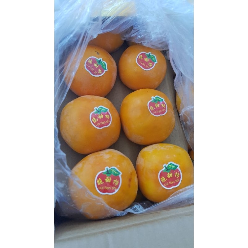 

Persimmon 1kg Malang Kota