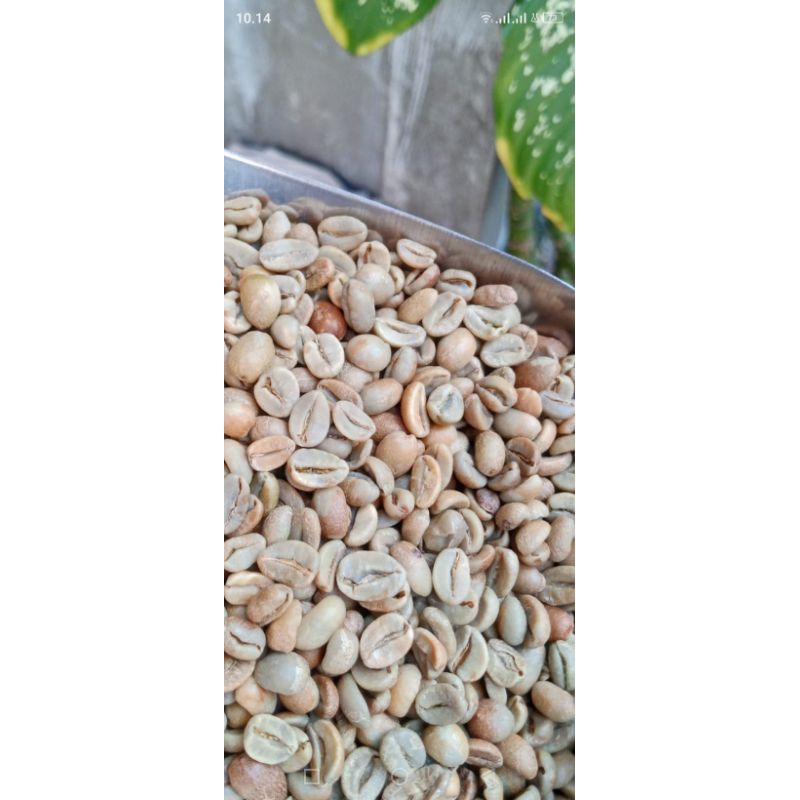 

Green Bean Arabika Paseban
