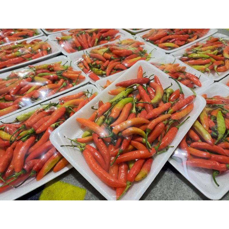 

cabe rawit segar kemasan 100gr