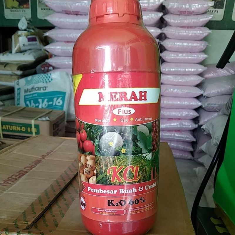 KCL Cair K2O 60%