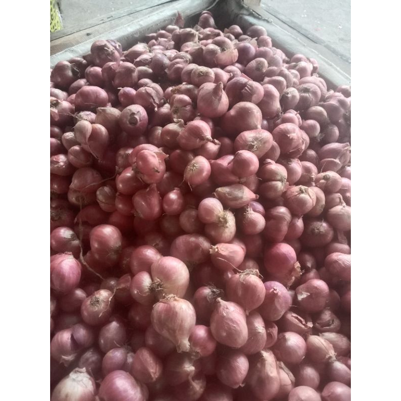 

Bawang merah super 1 kg