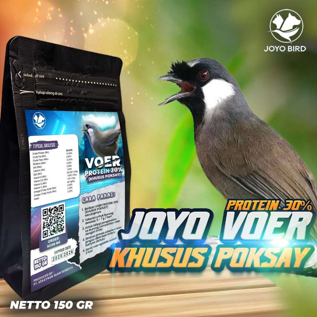 VOER BURUNG POKSAY | VOER HARIAN | VOER NUTRISI KOMPLIT | JOYO VOER KHUSUS POKSAY