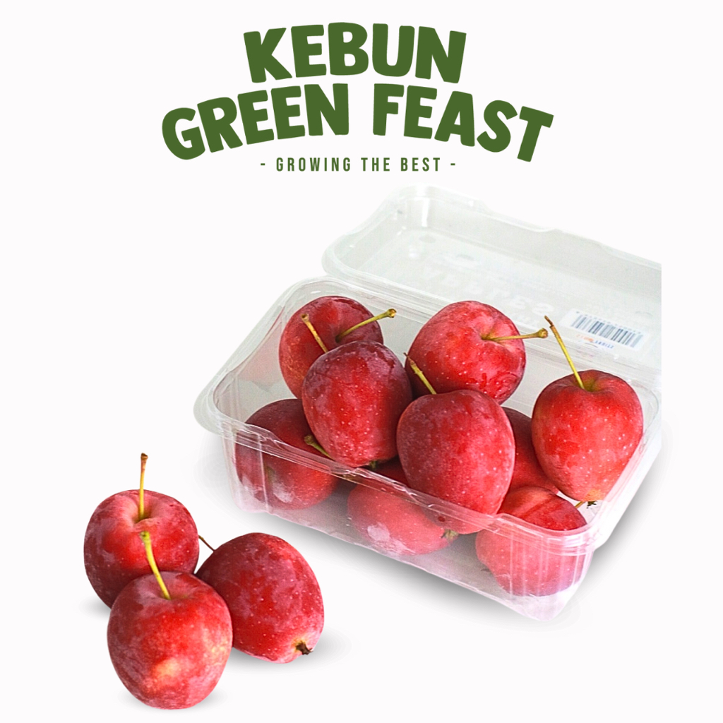 

Strawberry Apple - Buah Import Segar