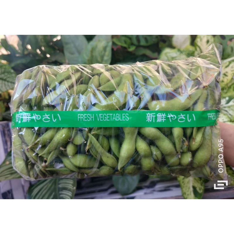 EDAMAME FRESH 1kg MENTAH