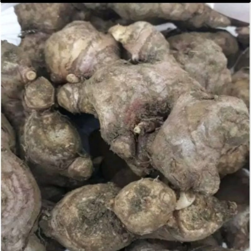 

Jahe merah Segar 1kg