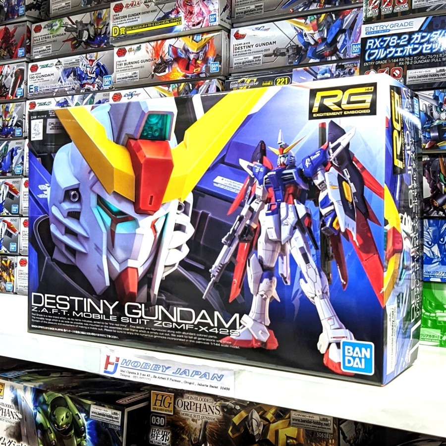 RG Destiny Gundam