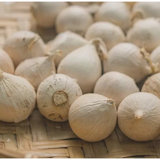 

Bawang Putih (TUNGGAL)