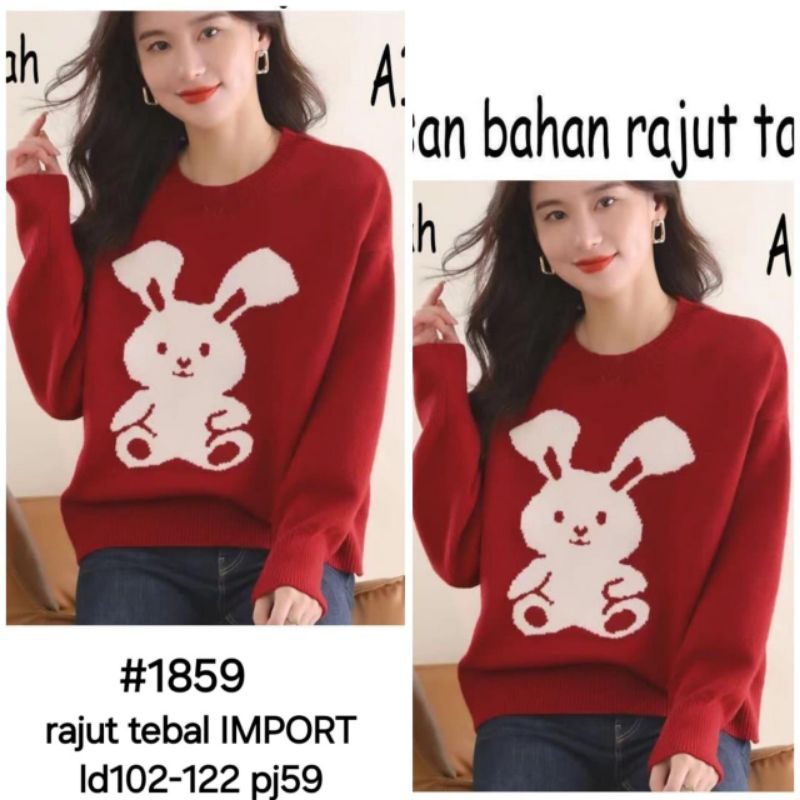 Atasan Rajut IMPORT 1859 Bahan Tebal untuk Wanita - Knitwear