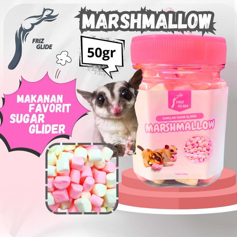 MARSHMALLOW SUGAR GLIDER HAMSTER LANDAK TUPAI TERBANG KUCING