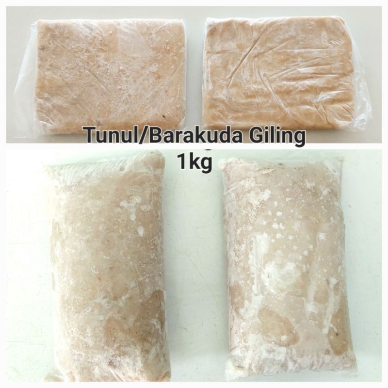 

Ikan Barakuda / Tunul Giling 1 kg
