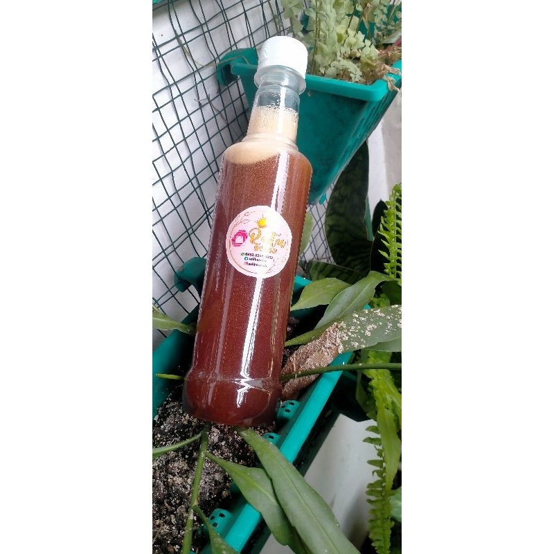 

madu asli Jambi ( madu lebah liar)