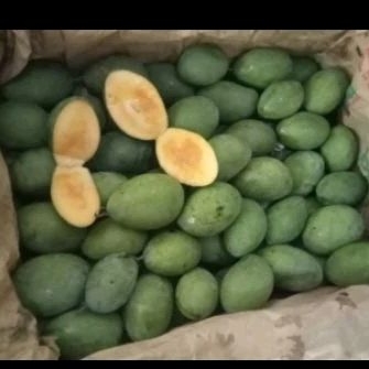 

Mangga Manalagi 500gr