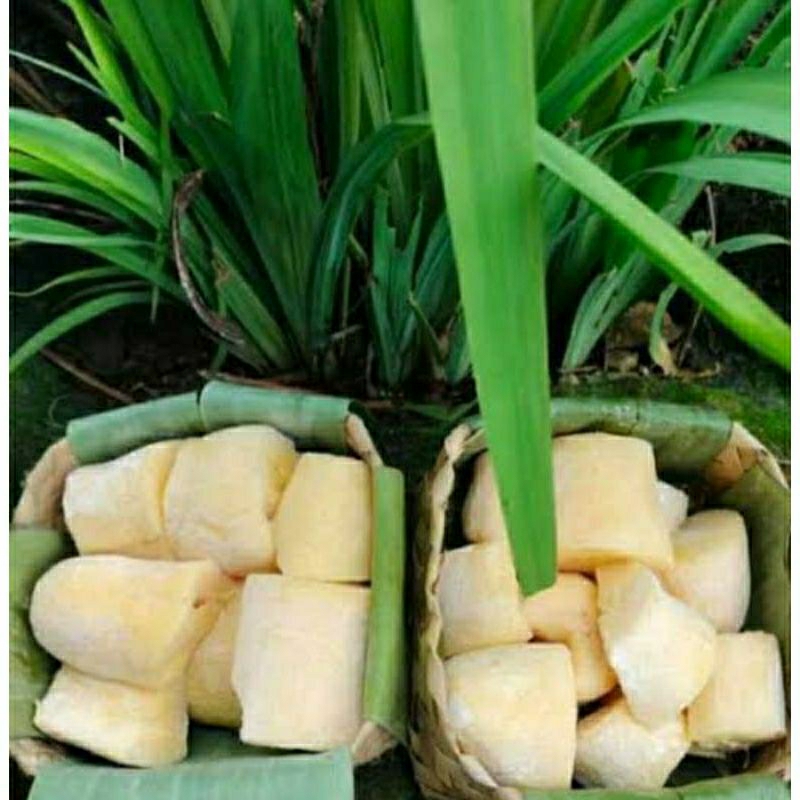 

TAPE SINGKONG KUNING 1 KG