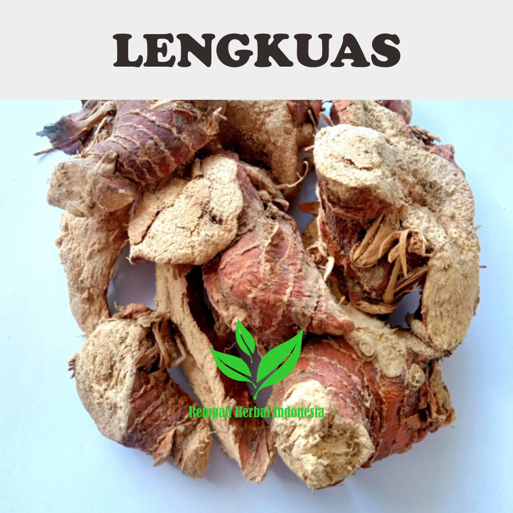 

500 gr Laos Lengkuas kering / dried galangal Organik Original tanpa pengawet