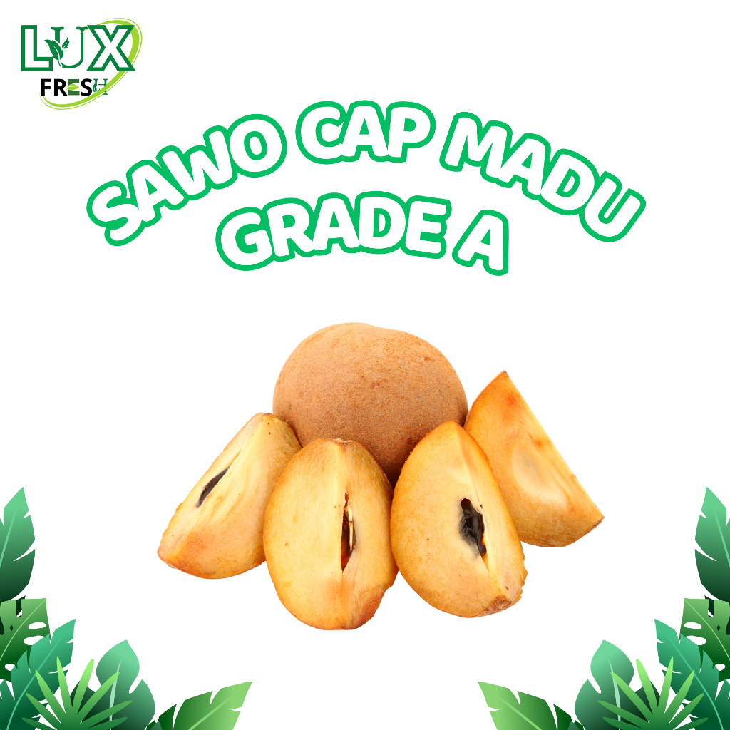 

BUAH SAWO CAP MADU GRADE A 500 GRAM DAN 1 KG SEGAR DAN BERKUALITAS