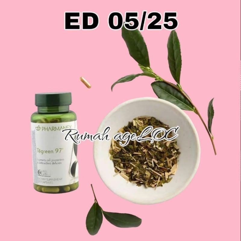 

te greennnn 120 kapsul pharmanexx teh kesehatan tea green teh greennn 97 tegrennnn tegreennnnn