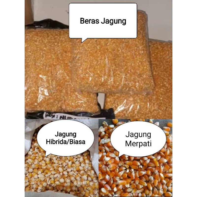 

Aneka Jagung, Jagung Kristal/jagung merpati | Jagung Pipil Kering/Hibrida/Biasa | Beras Jagung konsumsi & diet nett 500 gram