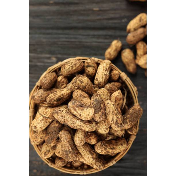 

Bisa COD!!! Kacang Tanah 1KG Langsung dari Petani Termurah