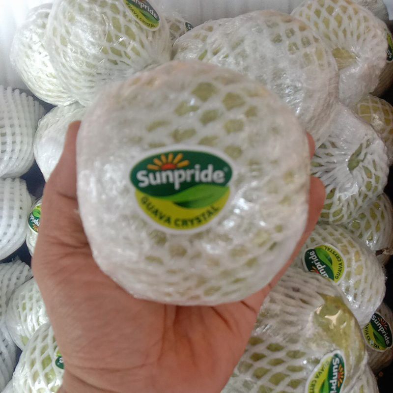 

GUAVA CRISTAL/JAMBU CRISTAL/kg