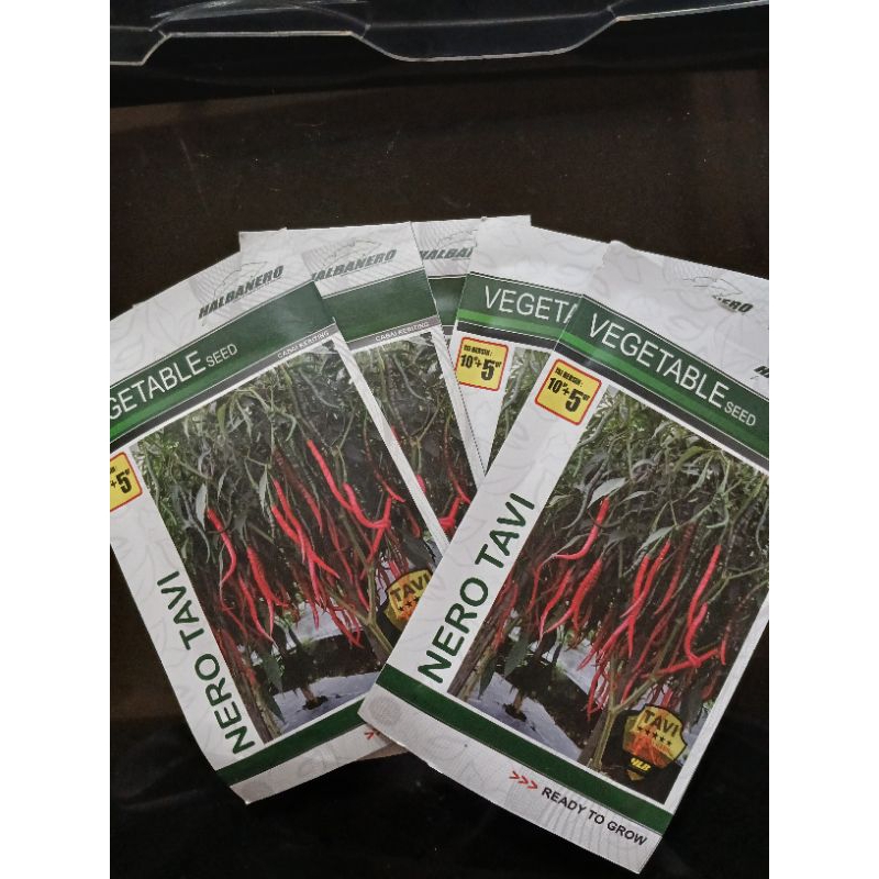 Benih/Bibit cabe NERO TAVI. VEGETABLE sed 15 gram.