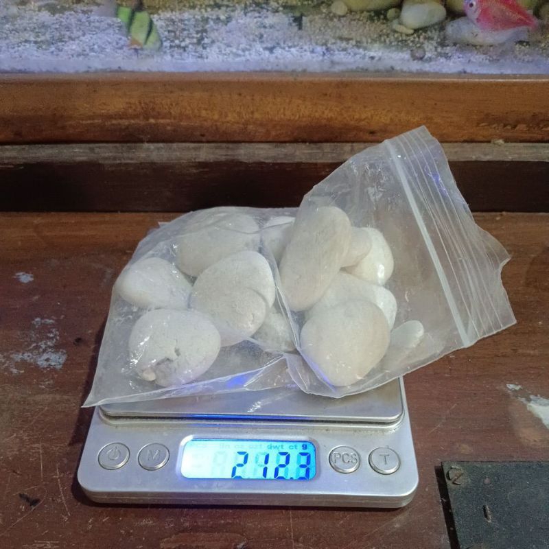 Batu Coral Putih besar 200gr