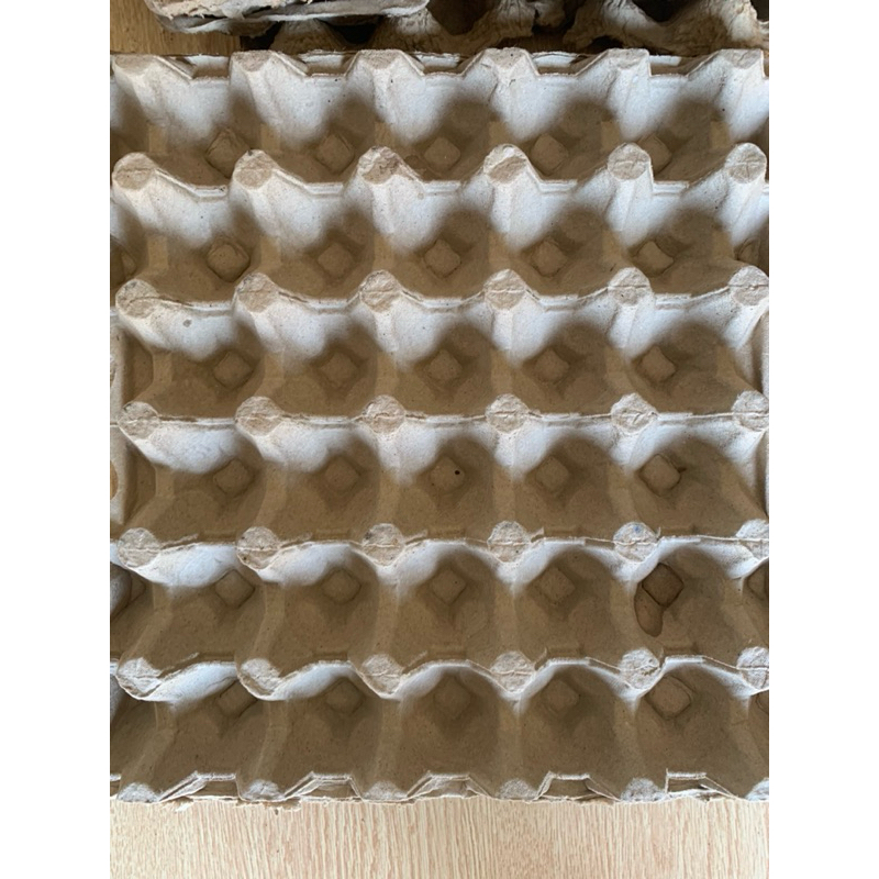 Tray telur ayam/bebek bekas sekali pakai / karton telur ayam/bebek