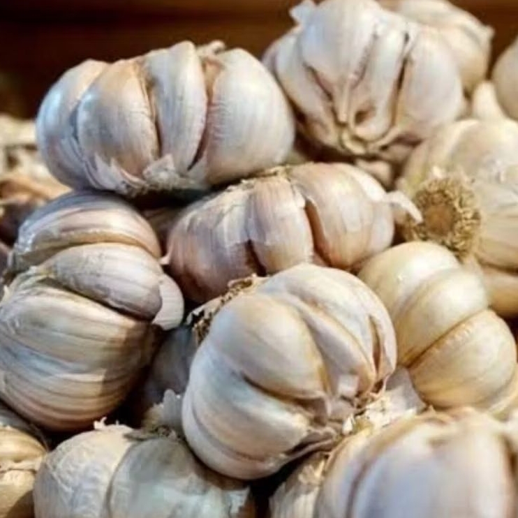 

bawang putih berkualitas 1kg