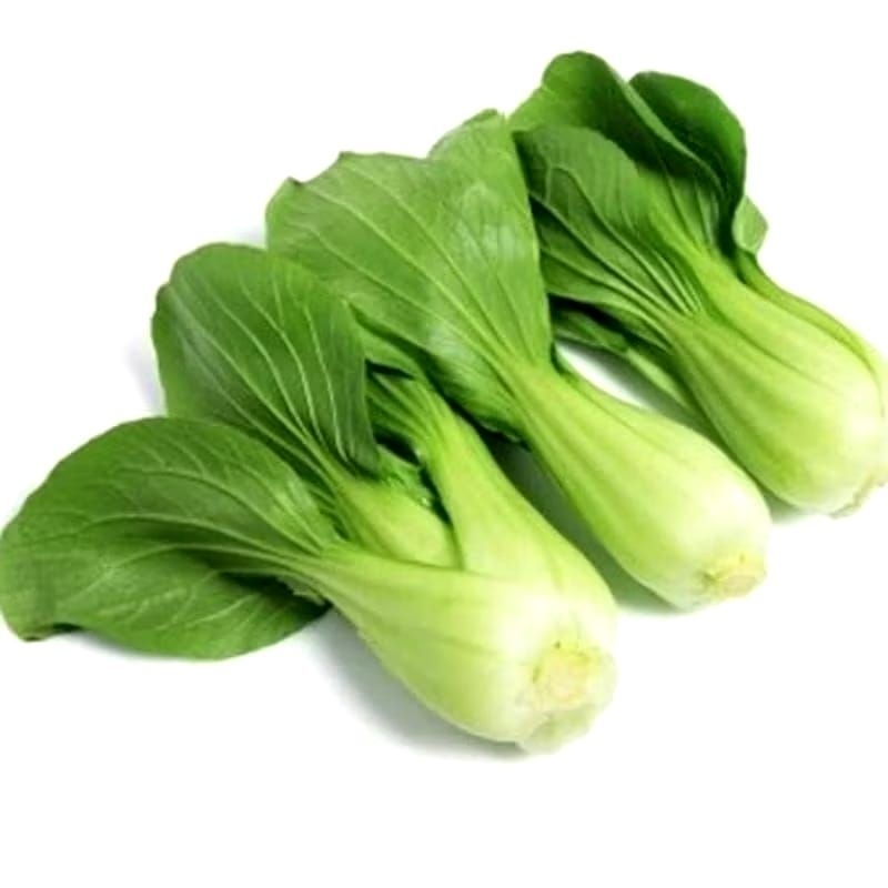 

Pokcoy / Pakcoy Segar