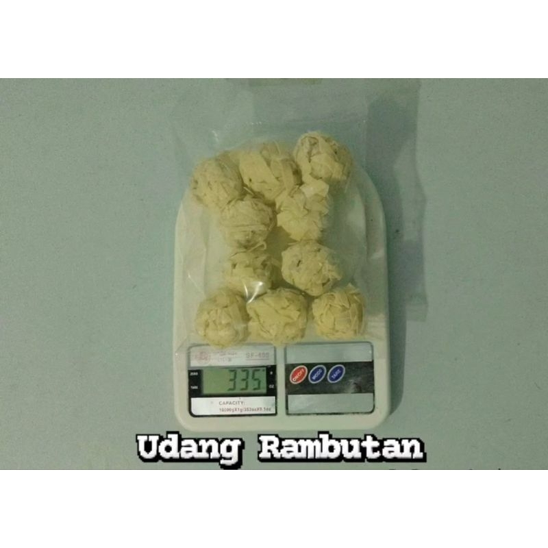 

udang rambutan