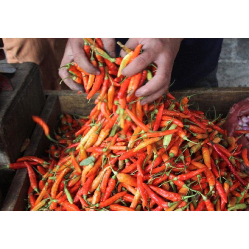 

CABE RAWIT CABE PEDAS SAYURAN SEGHER 100gr