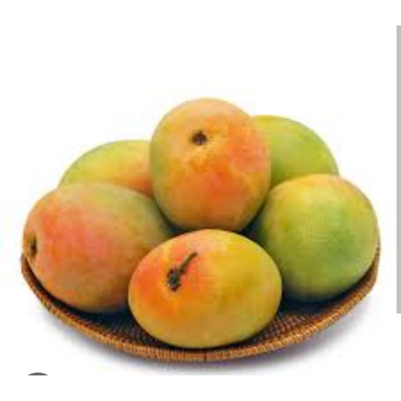 

Mangga Gedong Per Kg Sayur Segar Palembang