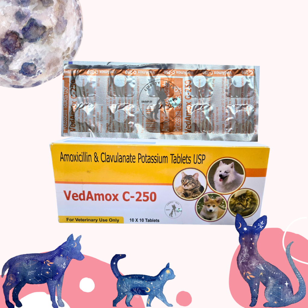 VedAmox C-250 Chewable Tablet Kunyah (1 Blister = 10 Tablet) Infeksi Kulit / Pyoderma / Bakteri / Ab