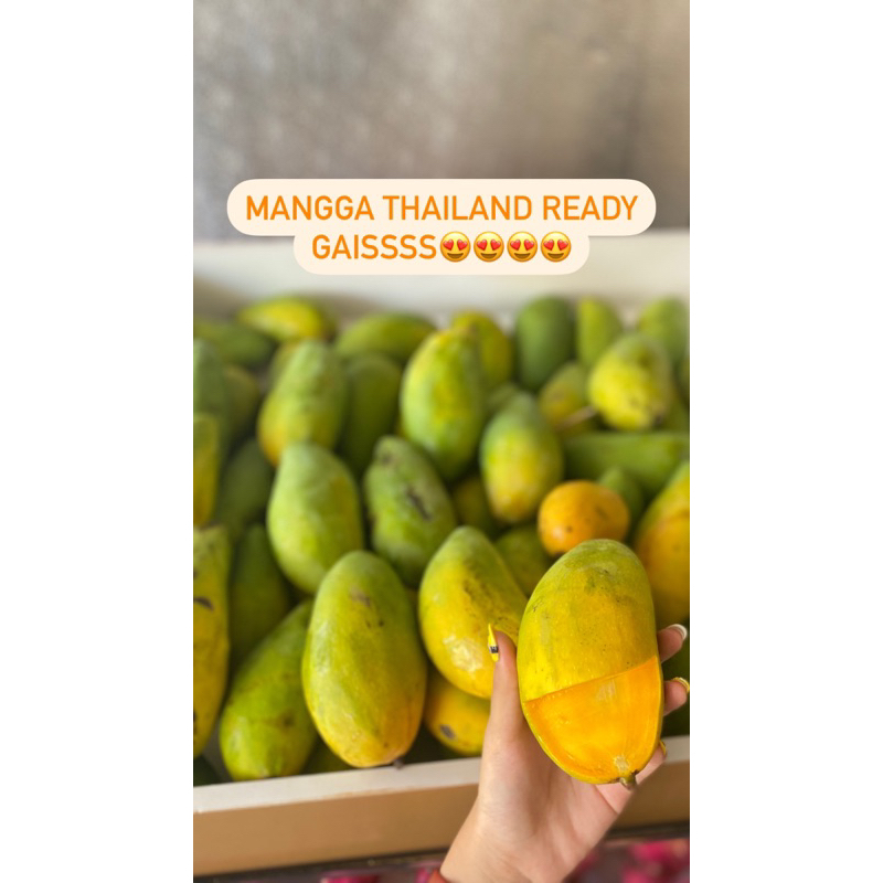 

mangga thailand