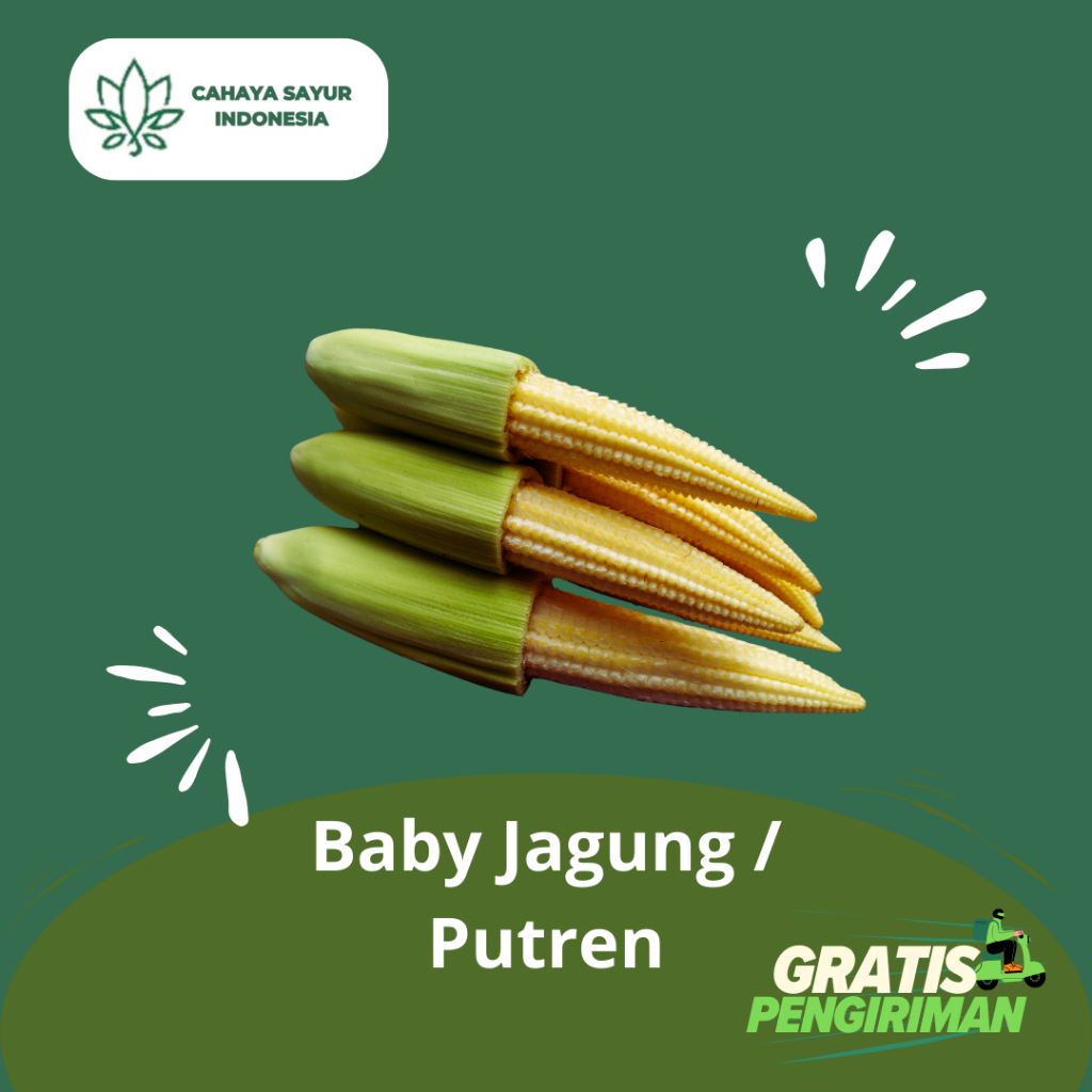 

Jagung Putren / Jagung Capcay / Jagung Kecil 1Kg + Gratis Ongkir